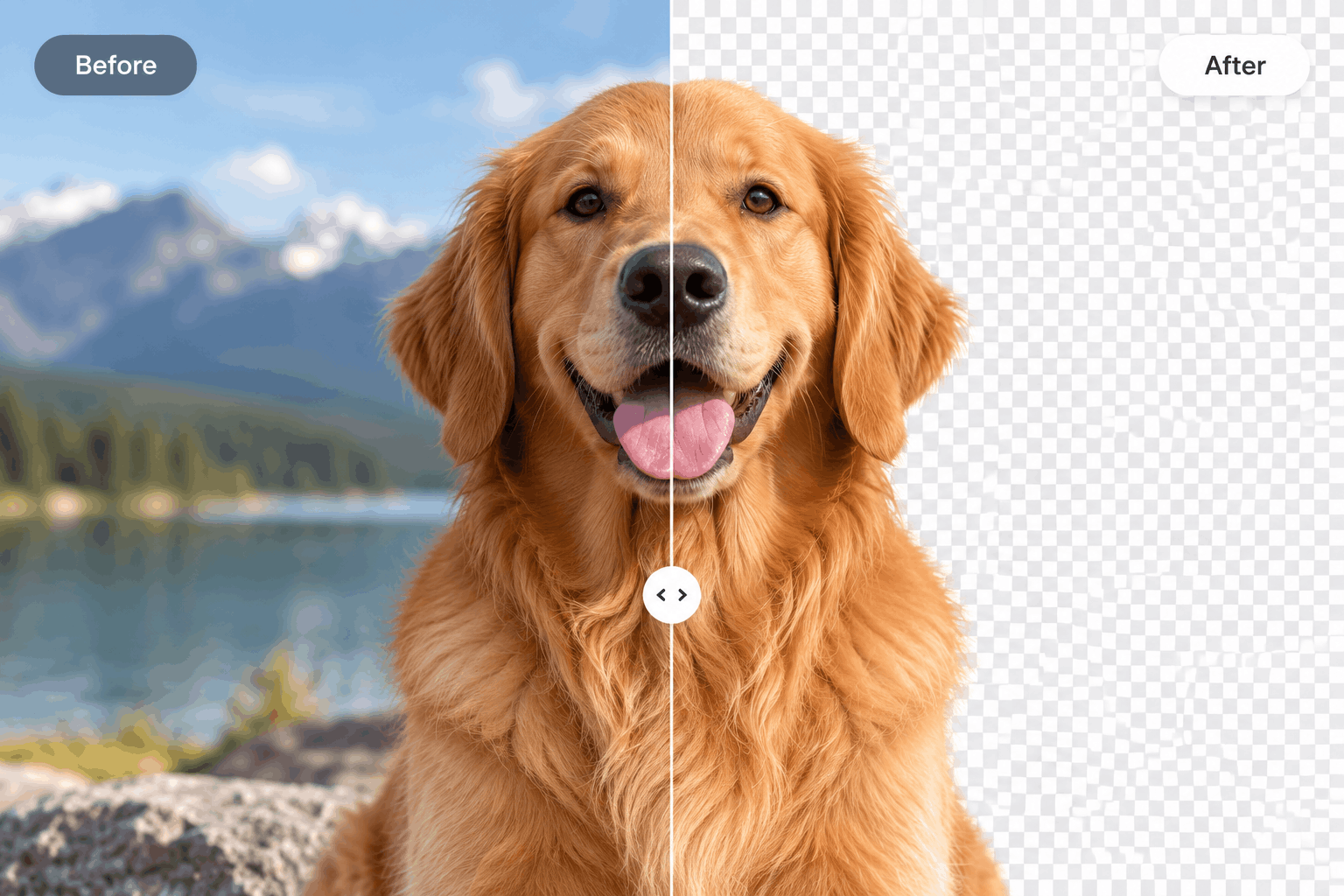 background removed